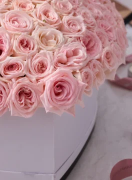 A white heart-shaped box and 200 pink roses