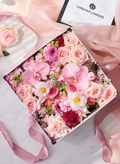 กล่องดอกไม้ ดอกกุหลาบสีชมพูเข้ม กล้วยไม้ฟาแลนนอปซิส เจอร์เบร่าสีชมพูในกล่องสี่เหลี่ยมสีขาว