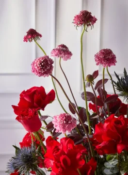 Flowers in a champagne barrel, red Scabiosa flowers