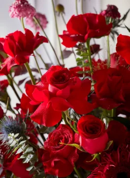Flowers in a champagne bucket, red scabiosa and bright red roses.
