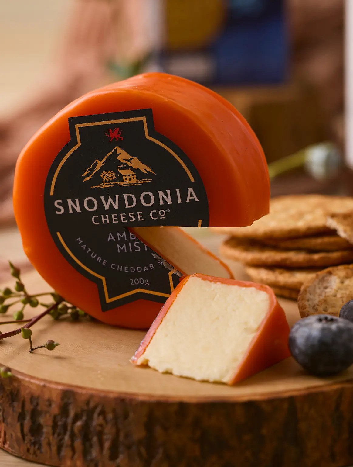 Cheese Night Delight Hamper