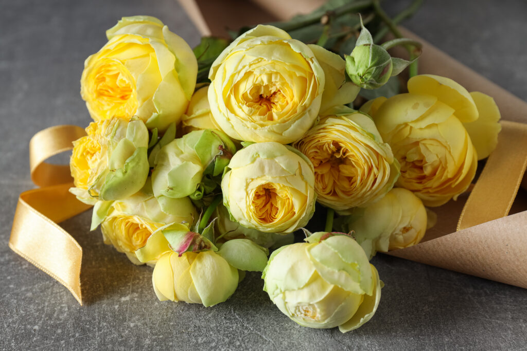 Peony Meaning & Symbolism