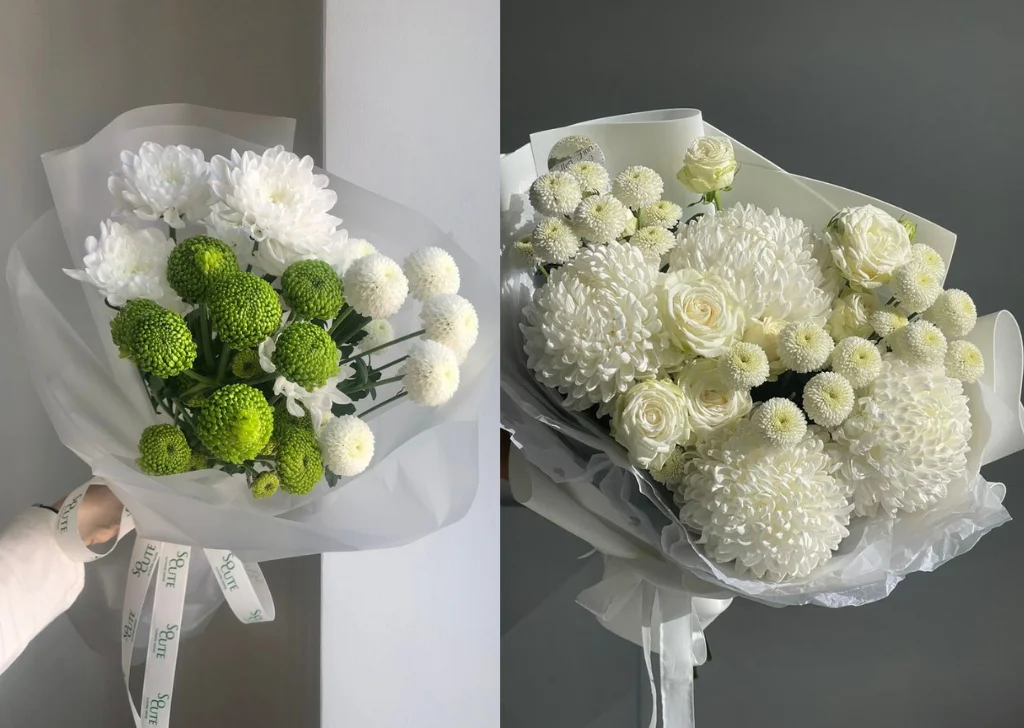 ดอกปอมปอมสีเขียวและสีขาวจัดเป็นช่อดอกไม้