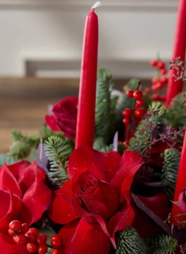 Red Christmas flowers and red candles
