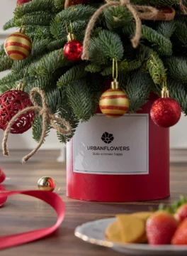 Merry Little Christmas Tree in red box