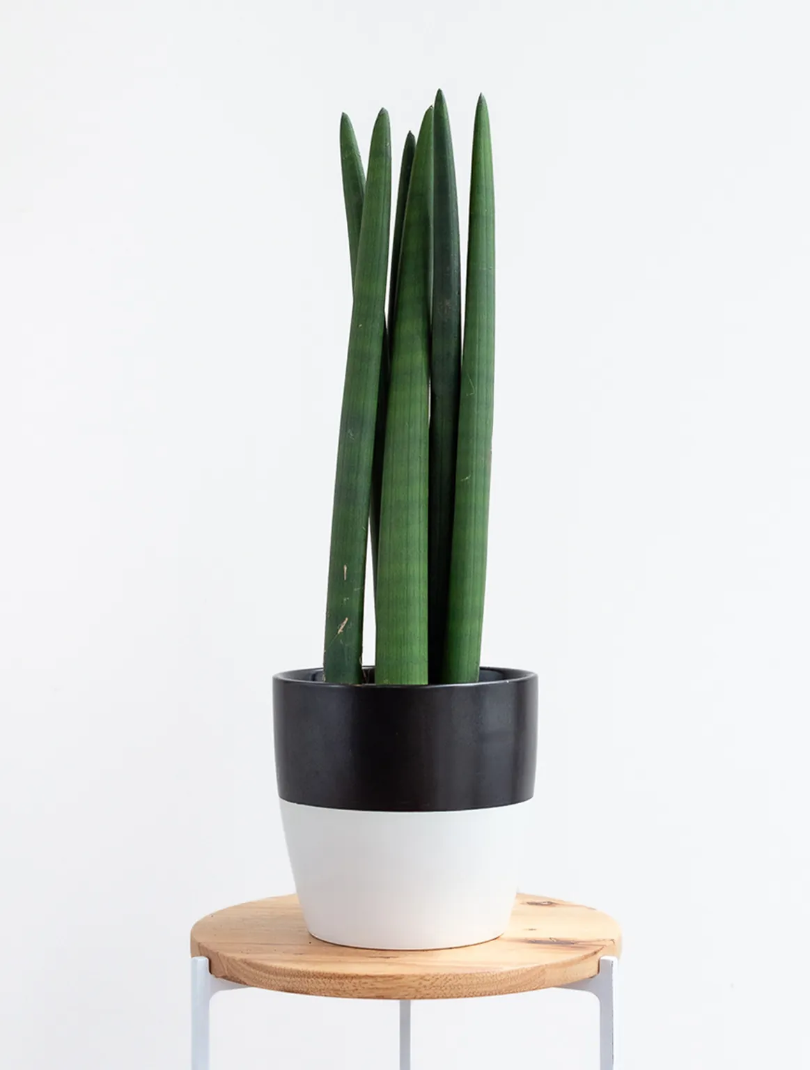 Little Sprout Welcome Box