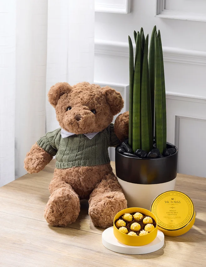 ชุดของขวัญวันเกิดพร้อมตุ๊กตาหมี กระถางต้นไม้ และช็อกโกแลตทรัฟเฟิล Victoria รสคาราเมลทะเลเกลือ — คอลเลกชันของขวัญวันเกิดสุดพิเศษ
