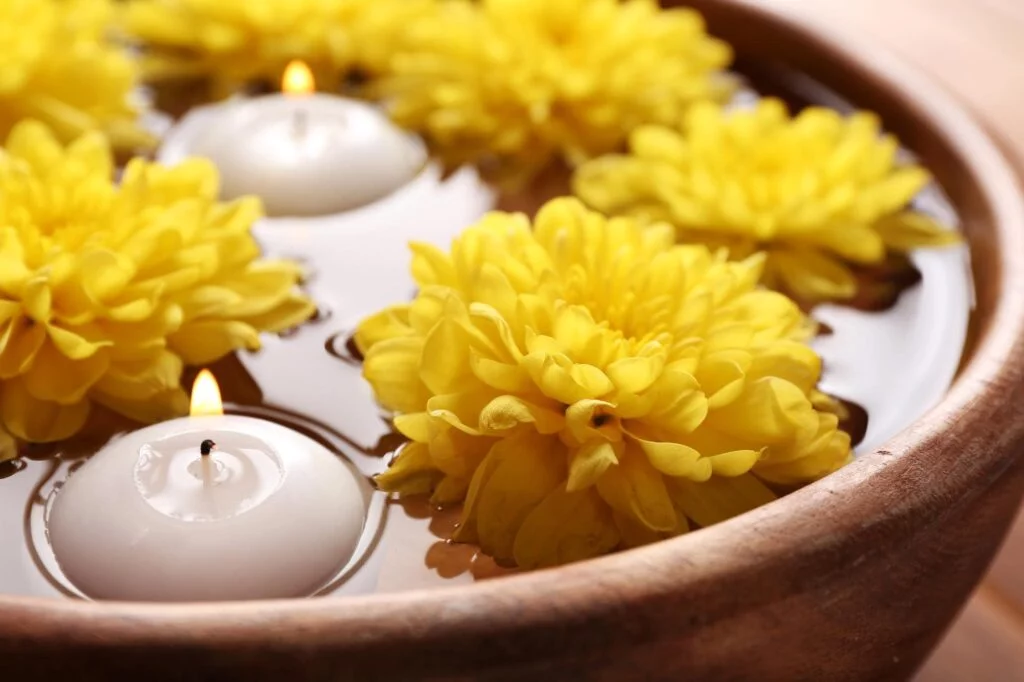 ดอกเบญจมาศ