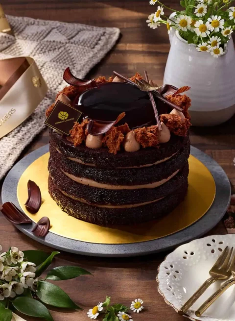 เค้กช็อกโกแลตเดวิลส์ดาร์กช็อกโกแลตเข้มข้น