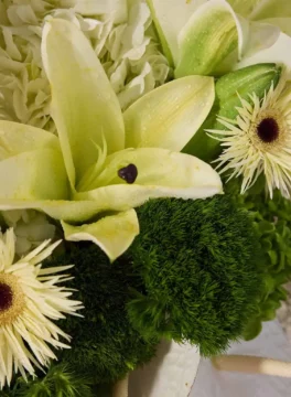 Close-up White Lily Cream Gerbera & Green Dianthus