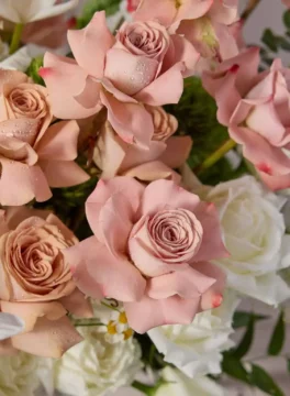 Close-up Peach Nude & White Roses
