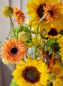 Close-up Sunflower Gerbera Craspedia
